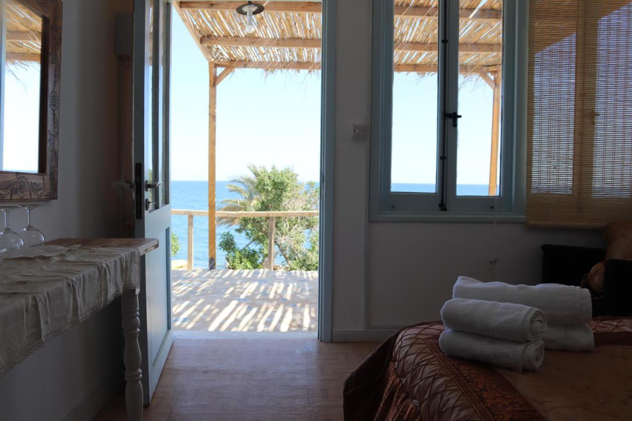 Maroni Summer Dream Cyprus المظهر الخارجي الصورة