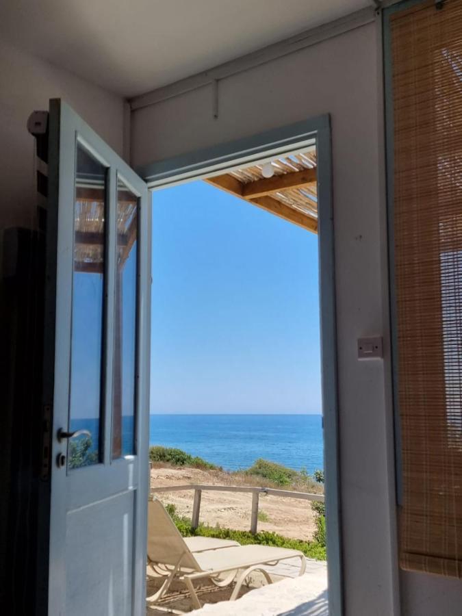 Maroni Summer Dream Cyprus المظهر الخارجي الصورة