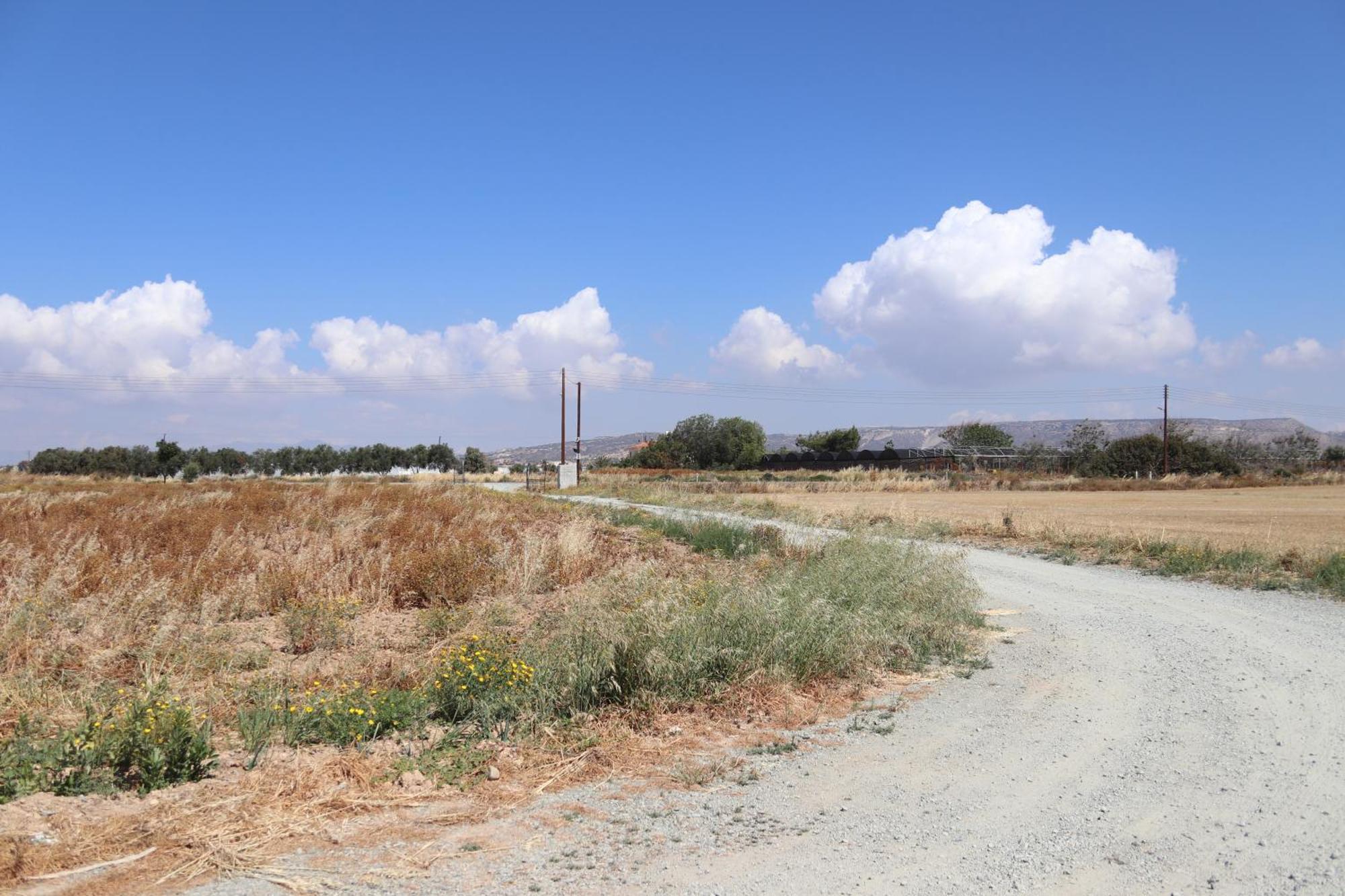 Maroni Summer Dream Cyprus المظهر الخارجي الصورة