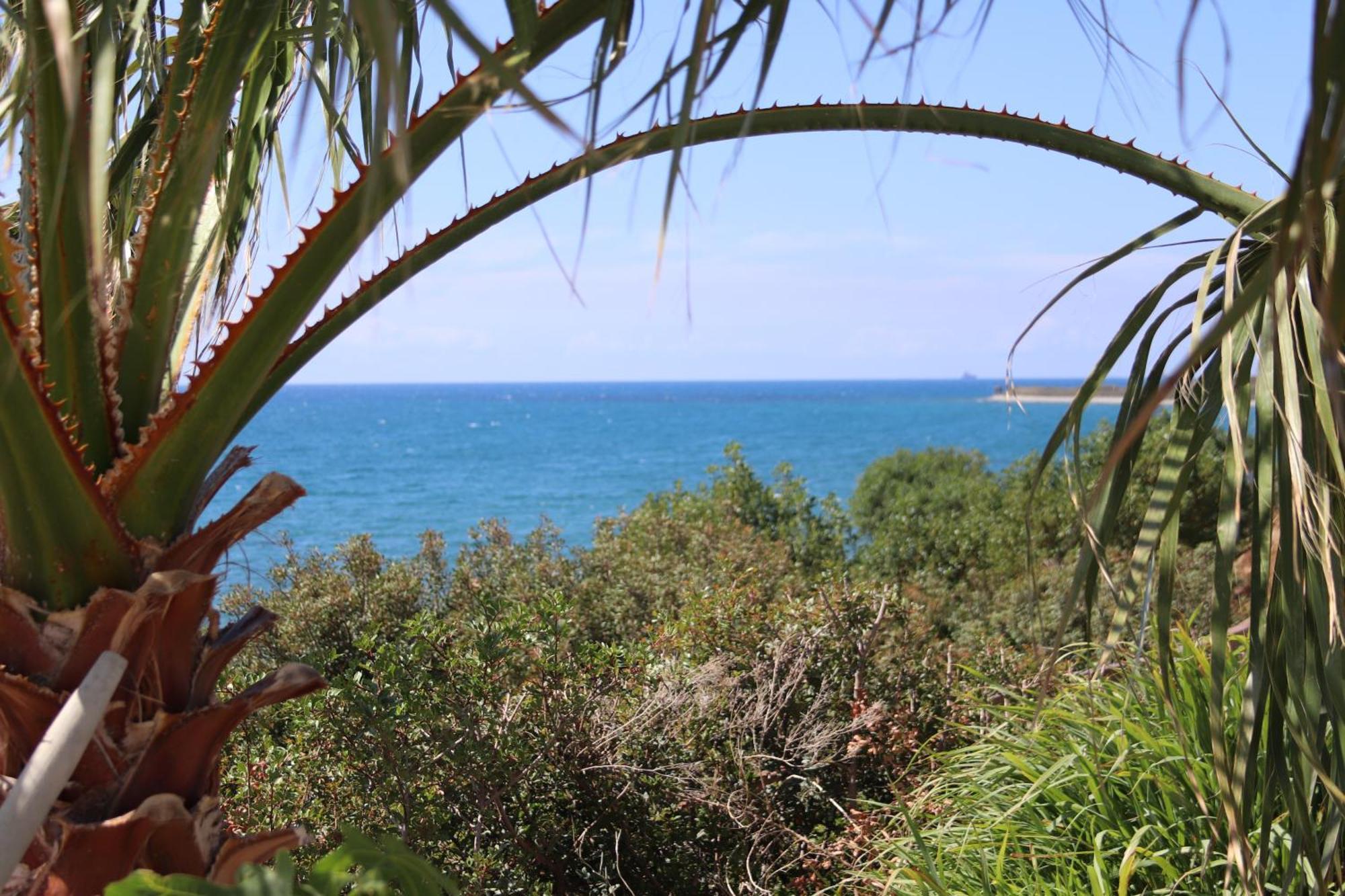 Maroni Summer Dream Cyprus المظهر الخارجي الصورة